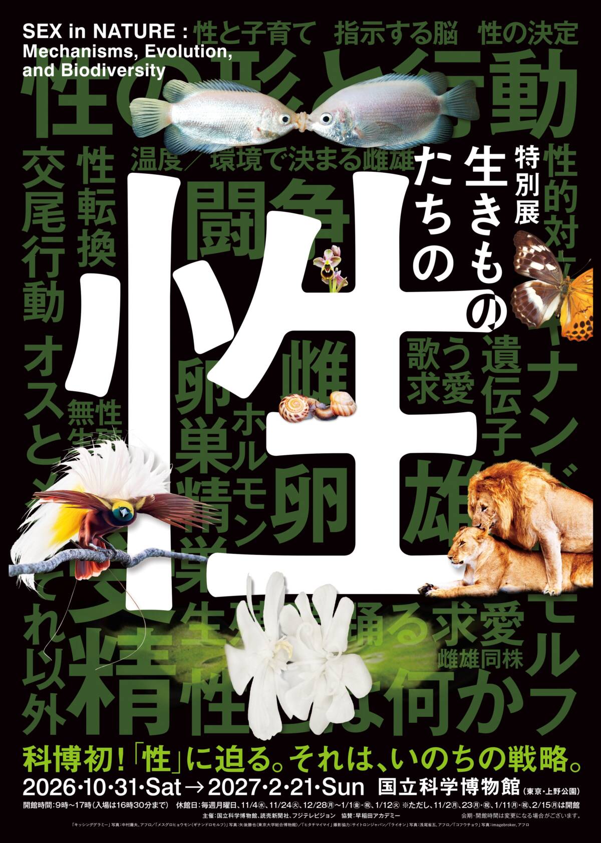 特別展「生きものたちの性」／ 国立科学博物館
